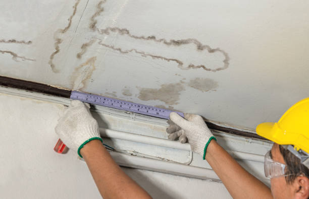 Reliable Structural Drying contractor in Caledonia, MI by Water Damage Irwin